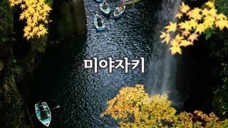 00_miyazaki.webp